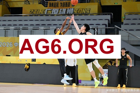 斯图加特迎战沃尔夫斯堡 · 实时赛事